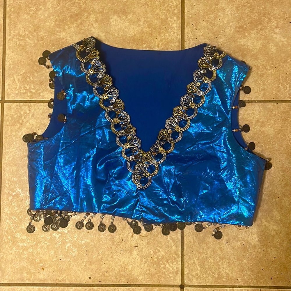Blue and gold bellydancer vest and skirt set